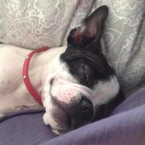 Meet your Posher, Michael